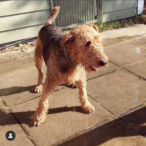 Meet your Posher, Andrew